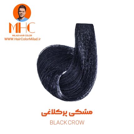 رنگ موی مشکی پر کلاغی برند سیلا