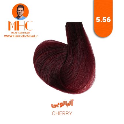 رنگ موی آلبالویی برند سیلا