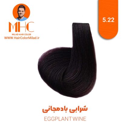 رنگ موی شرابی بادمجانی برند سیلا