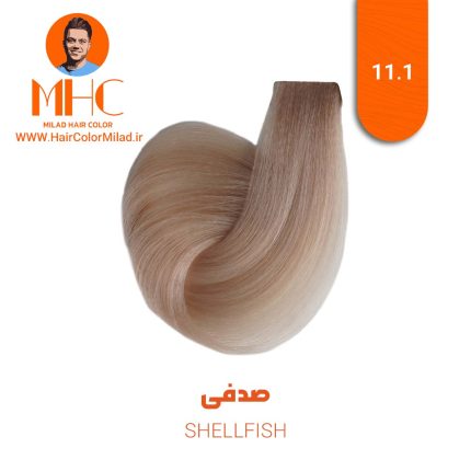 رنگ موی صدفی برند سیلا