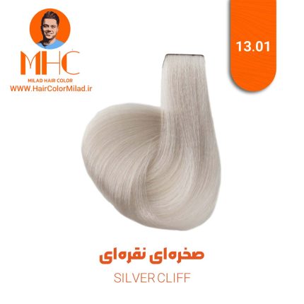 رنگ موی صخره‌ای نقره‌ای برند سیلا