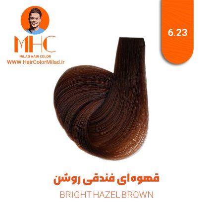 رنگ موی قهوه‌ای فندقی روشن برند سیلا